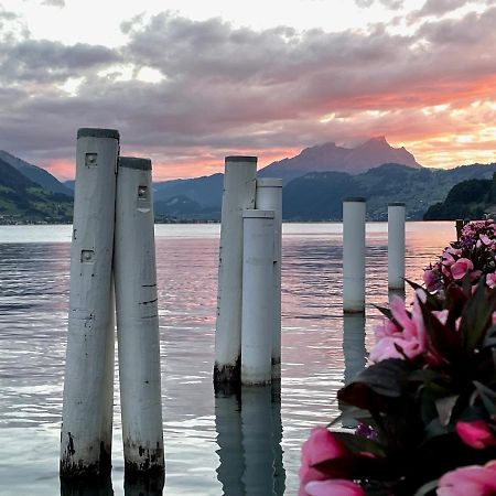 Ferienwohnungen Mit 4 Betten In Gersau Direkt Am Vierwaldstaettersee Esterno foto