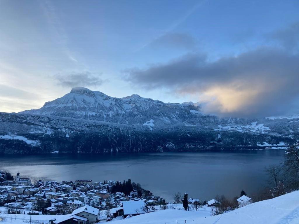 Ferienwohnungen Mit 4 Betten In Gersau Direkt Am Vierwaldstaettersee Esterno foto