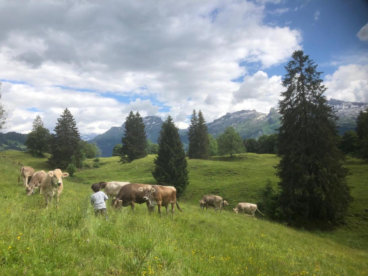 Ferienwohnungen Mit 4 Betten In Gersau Direkt Am Vierwaldstaettersee Esterno foto