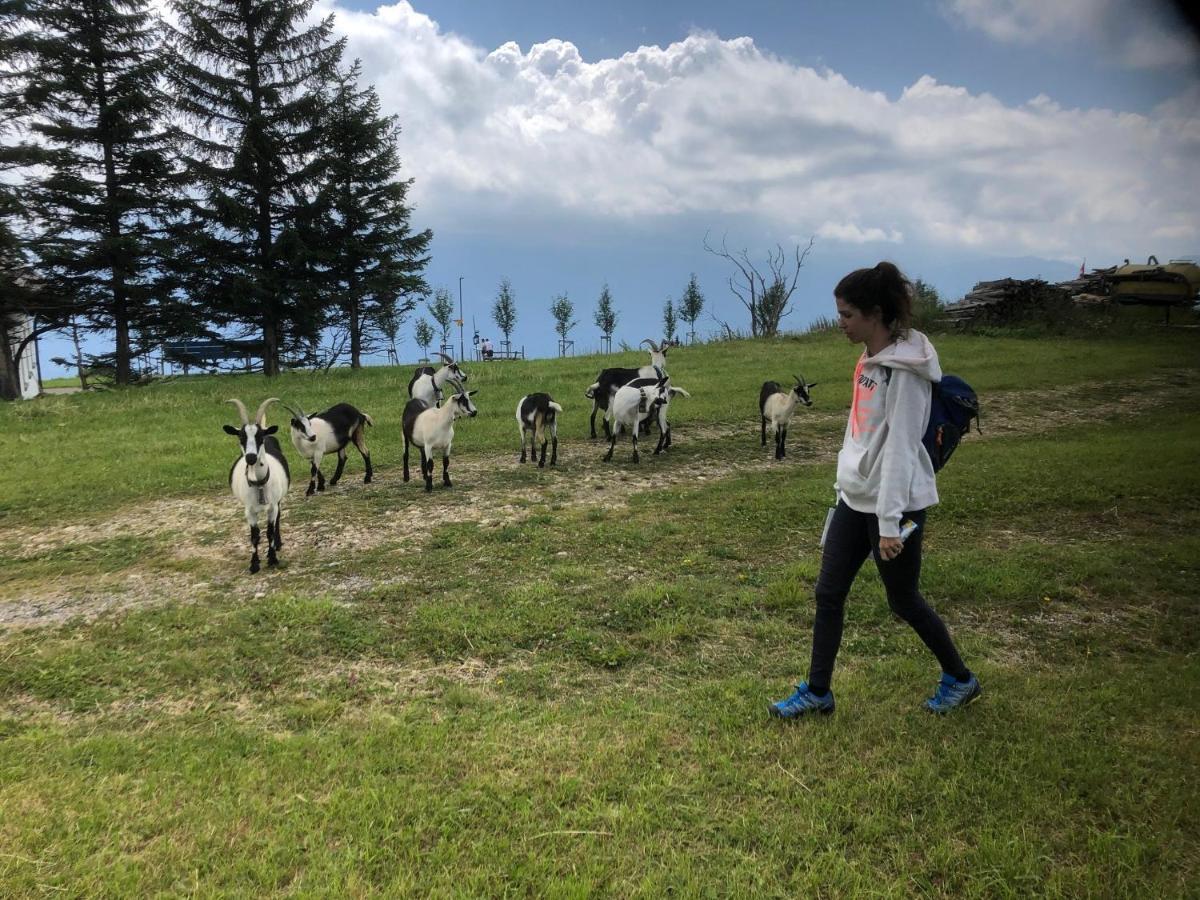 Ferienwohnungen Mit 4 Betten In Gersau Direkt Am Vierwaldstaettersee Esterno foto