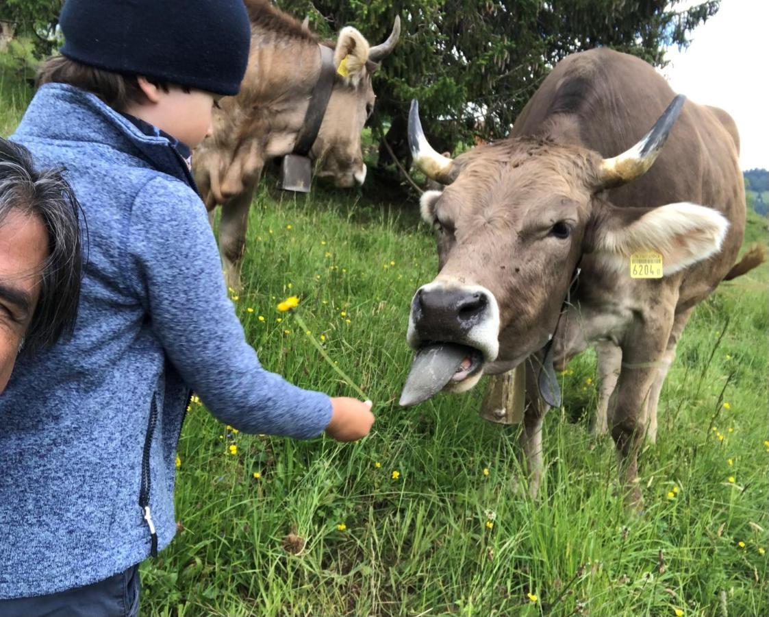 Ferienwohnungen Mit 4 Betten In Gersau Direkt Am Vierwaldstaettersee Esterno foto